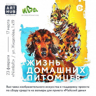 В Иванове откроется благотворительная выставка в поддержку домашних животных